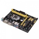 Kit Placa de Baza Asus H81M2, Intel Core i3-4150, Cooler
