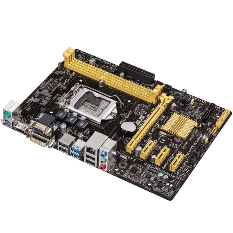 Placa de Baza Asus H81M-PLUS, Socket LGA 1150 + Cooler