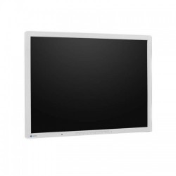 Monitoare Second Hand Eizo FlexScan L985EX, Alb, Grad B