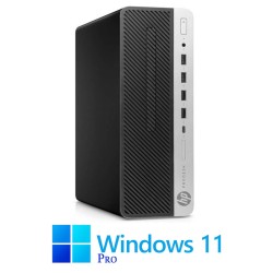 Calculator HP ProDesk 600 G4 SFF, Hexa Core i5-9400, 16GB DDR4, SSD, Win 11 Pro
