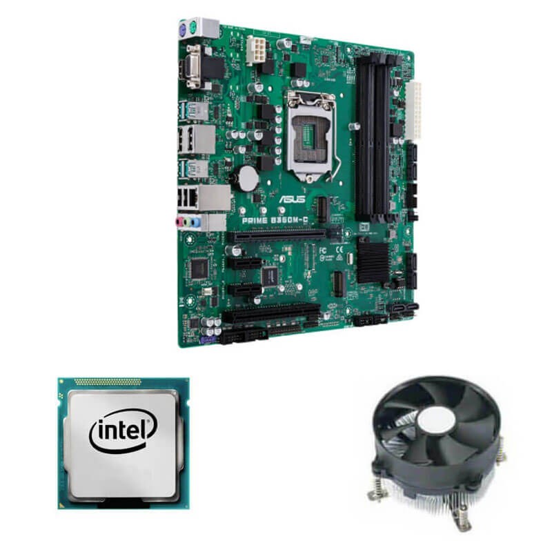 Kit Placa de Baza Asus PRIME B360M-C, Intel Quad Core i3-8100 + Cooler